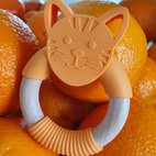 Bitring katt orange